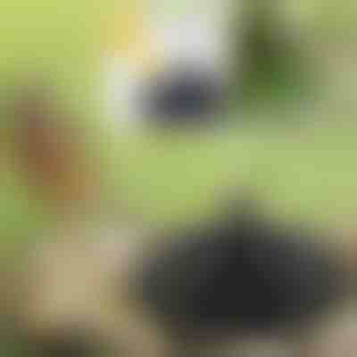 Bringen Sie Ihren Garten mit dem Solarzauberbrunnen zum Leben | FONTANA