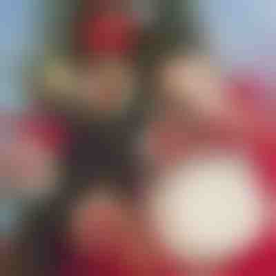 DIY Weihnachtsdekoration (30 Stück) | ORNAMENTIFY