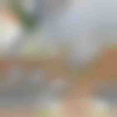 Multifunktionaler gemüseschneider | SLICEIEST (4 Klingen GRATIS)