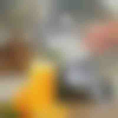 Manuelle Saftpresse | JUVOPRESS