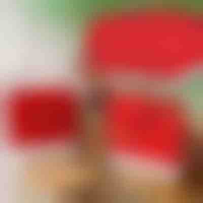 Weihnachts-Stil Esszimmerstuhl Schonbezüge (4 Stk.) | SANTASEAT