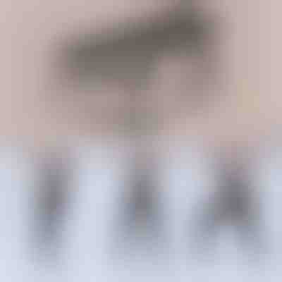 Multifunktionale Pilates-Stange | TONEBAR