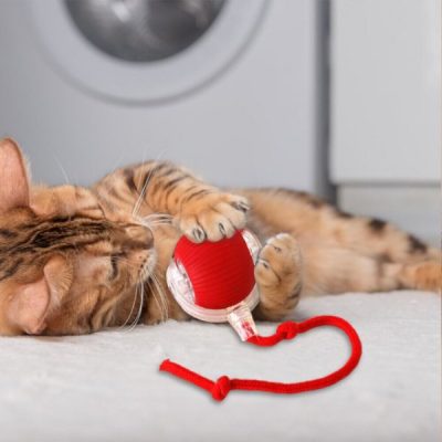 Haustierspielzeug, das sich bei Berührung bewegt | GATOPLAY