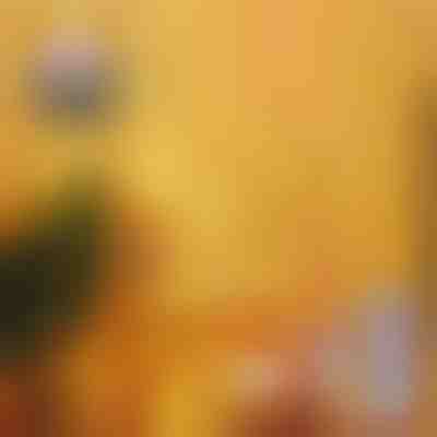 2x Festlicher LED-Vorhang | CURLIGHT