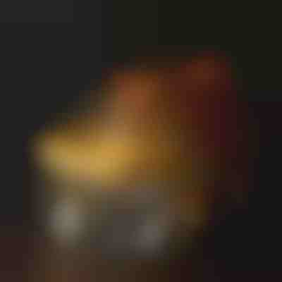 Trinkbrunnen zur Hydration für Haustiere | PETSPRINGLE