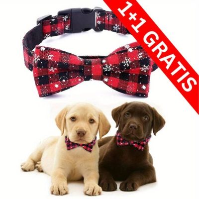 2 x Festliches Schneeflocken-Hundehalsband | DOGICOLLAR